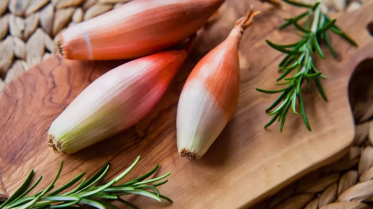 Que semer ou planter en avril au potager ?