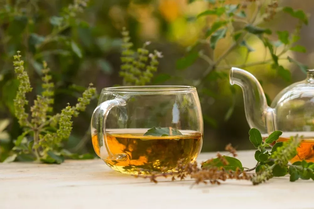 Les meilleures infusions pour éliminer les graisses naturellement