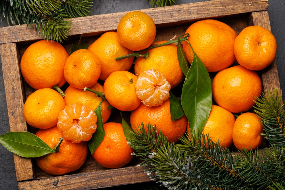 Les bienfaits de la mandarine : un trésor pour votre santé