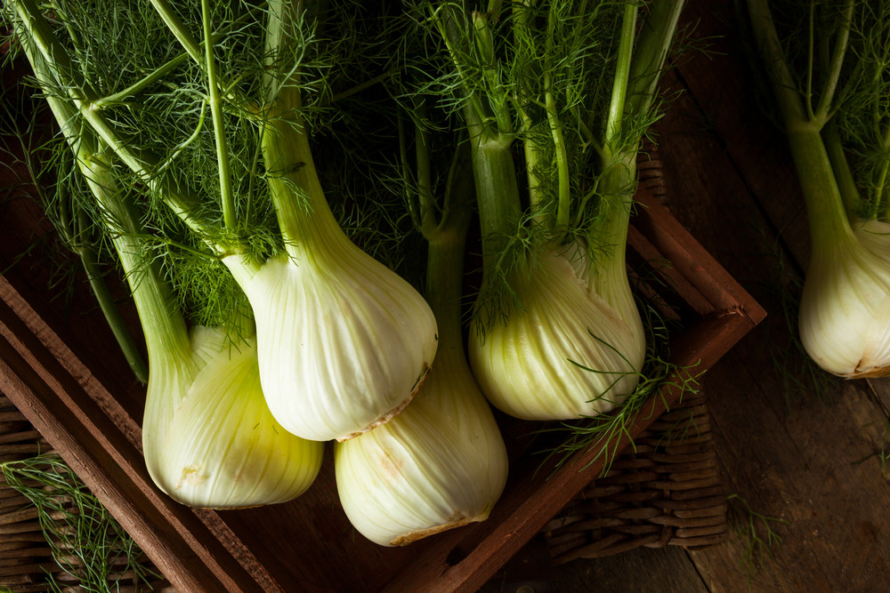 Le fenouil est-il calorique ?