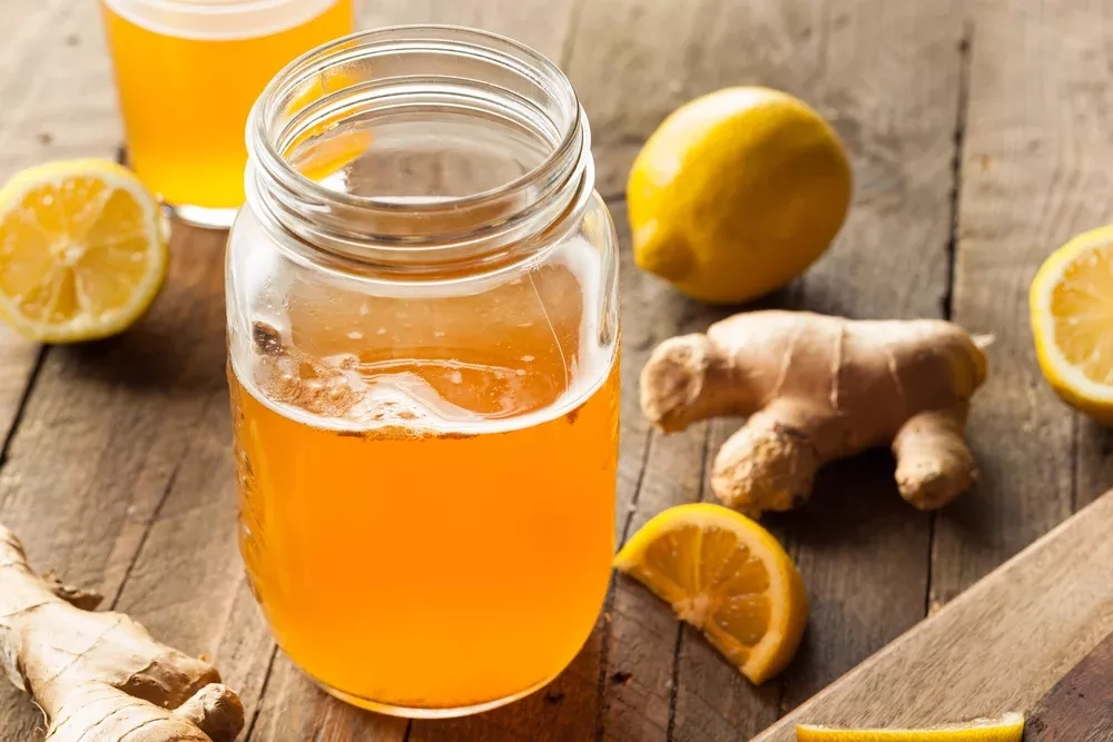 Recette de Kombucha maison : comment préparer cette boisson fermentée pleine de bienfaits