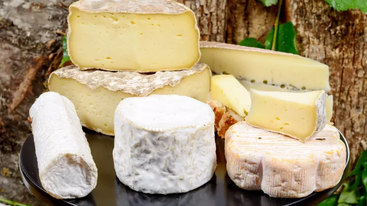 Perte de poids : faut-il privilégier les fromages pasteurisés ?