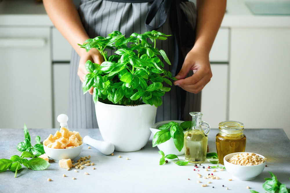 Avec quels aliments se marie le mieux le basilic ?