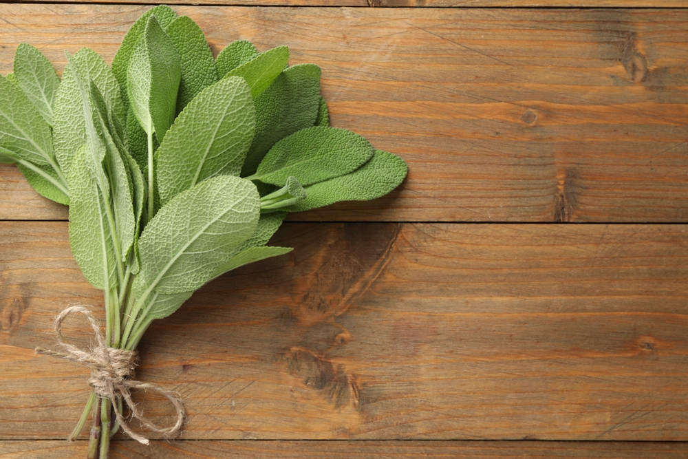 Avec quels aliments se marie le mieux la sauge ?