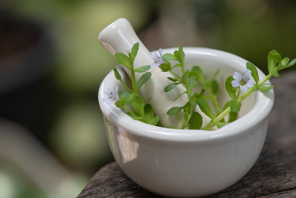 Les bienfaits du Brahmi : une plante pour le corps et l'esprit