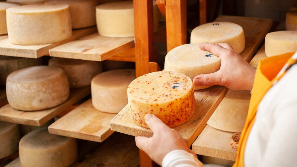 5 astuces pour que le fromage ne moisisse pas