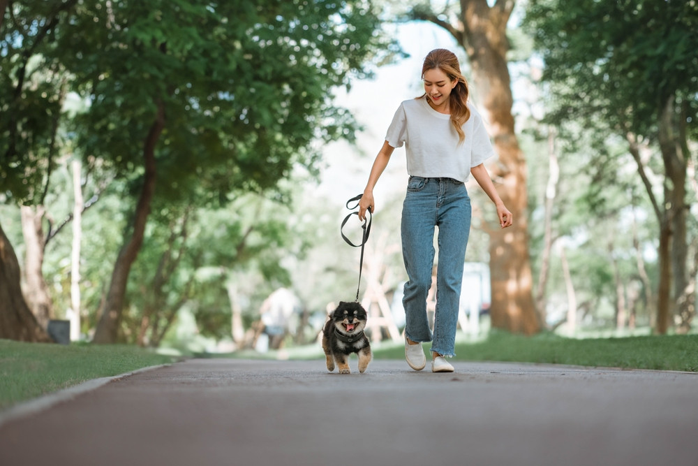 Les bienfaits de 30 minutes de marche par jour 