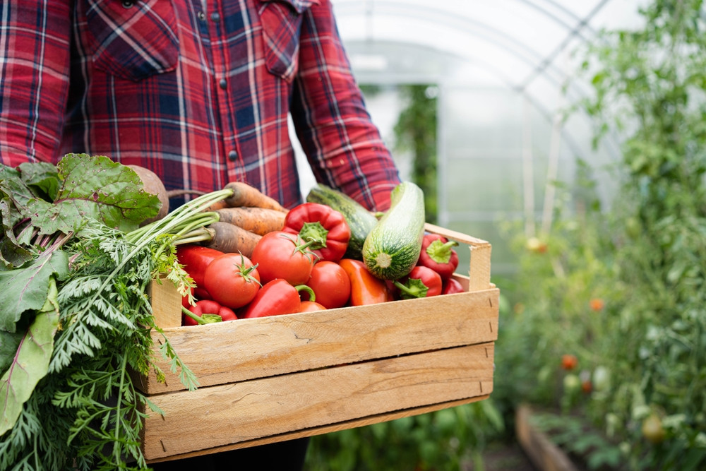 L’alimentation bio est-elle réellement bonne pour la santé ? Un décryptage nuancé