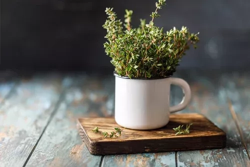 Quelle épice peut remplacer le thym en cuisine ?