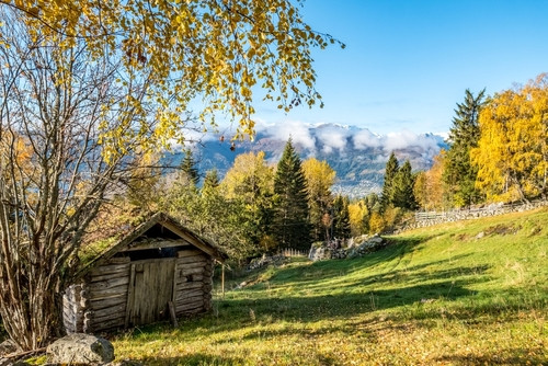 Friluftsliv : le secret nordique pour un moral au beau fixe grâce à la nature