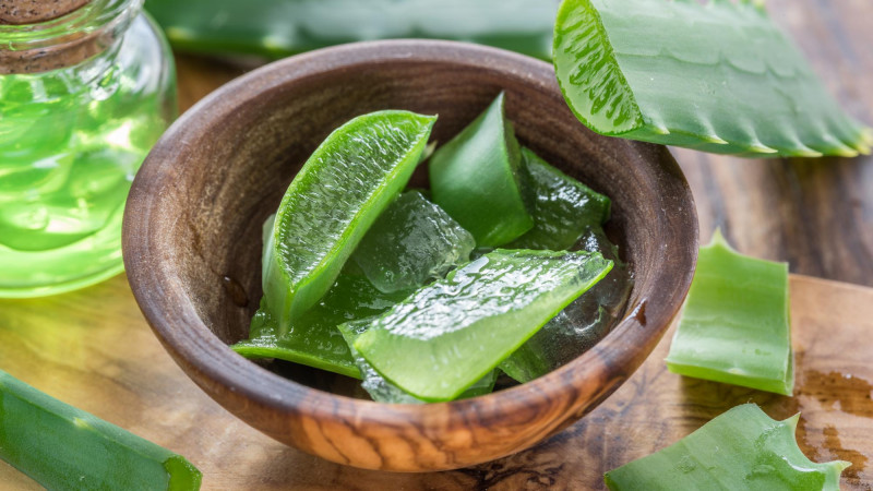  Les bienfaits de l'Aloé Vera : un trésor de la nature pour la santé et la beauté