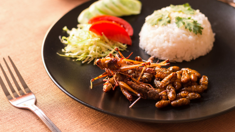 Manger des insectes est-ce bon pour la santé ?