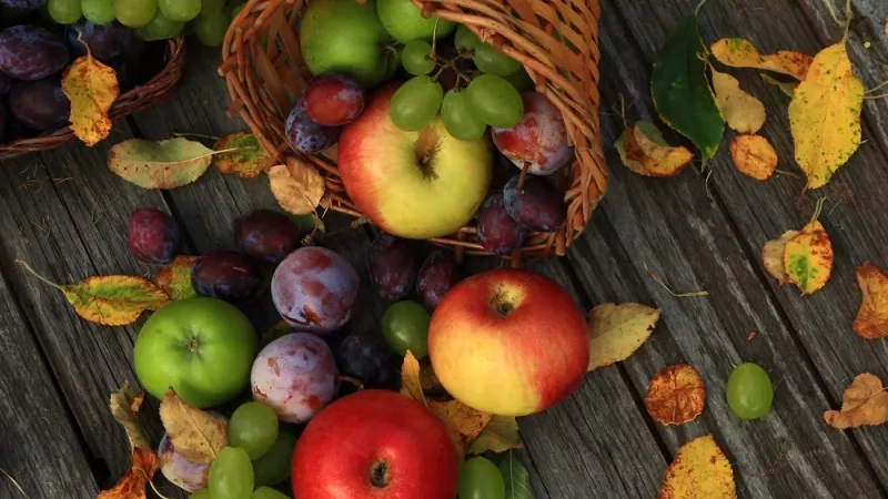 Les fruits à privilégier pour une digestion légère et une perte de poids efficace