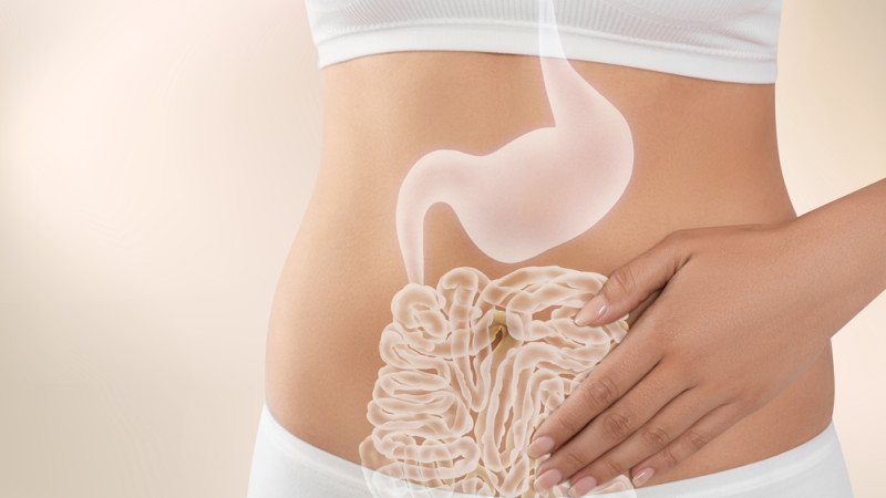 5 encas bons pour la digestion