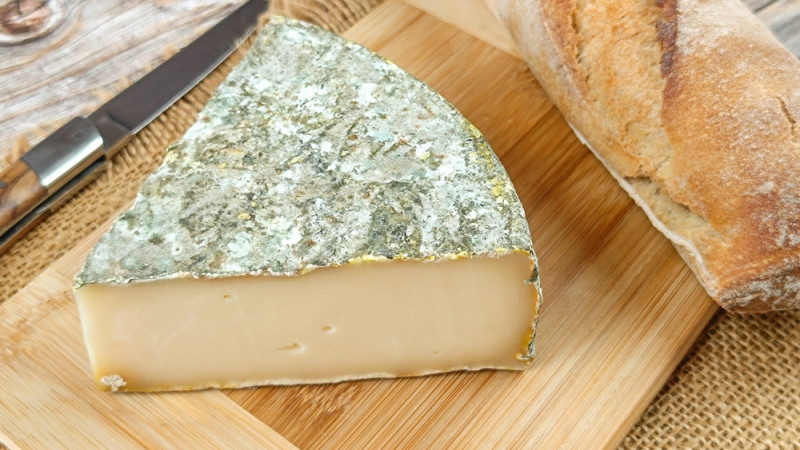 Le Saint-Nectaire : tout savoir sur ce fromage, ses bienfaits et idées recettes