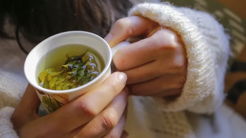 Diabète et tisanes : 3 infusions à éviter pour mieux gérer votre glycémie