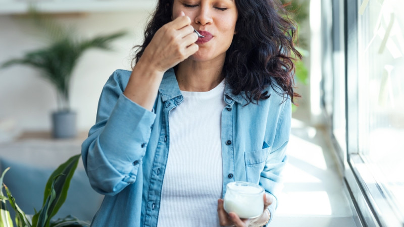 Le Dry Yogurt ou yaourt déshydraté :  une tendance culinaire saine ou simple effet de mode ?