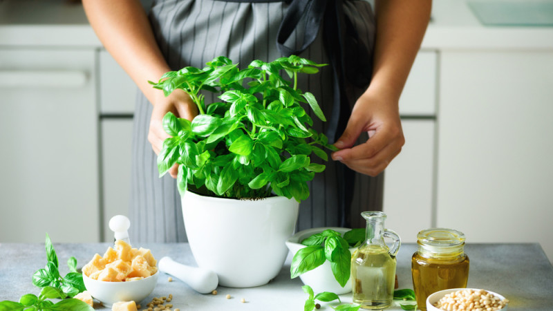 Avec quels aliments se marie le mieux le basilic ?