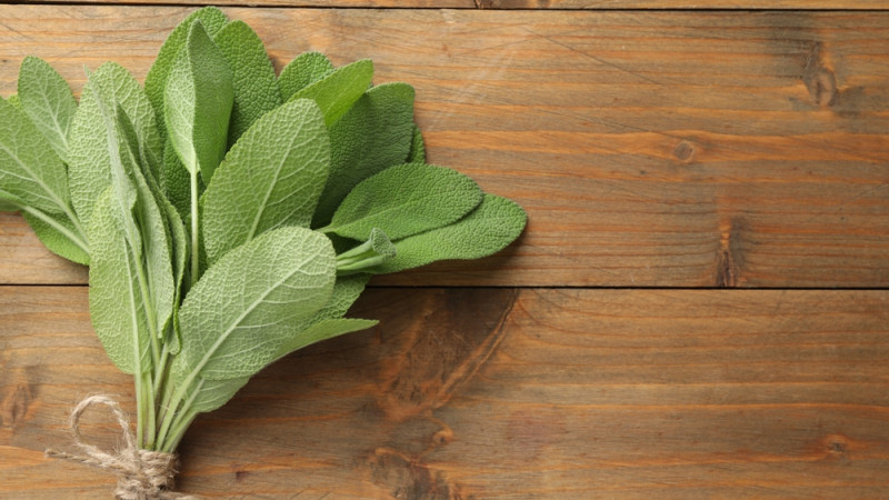 Avec quels aliments se marie le mieux la sauge ?