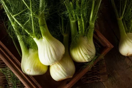 5 bonnes raisons de manger du fenouil