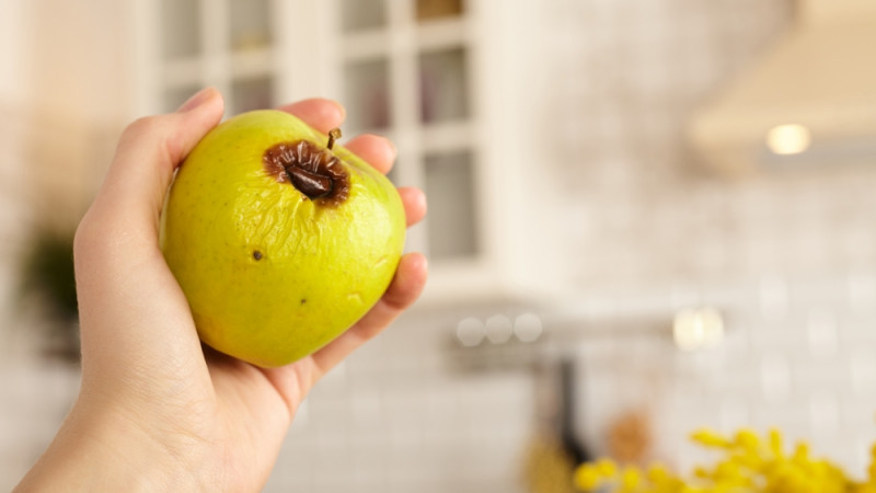 Encourt-on un risque à manger un fruit ou un légume en partie moisi ? La réponse surprenante d'un virologue !