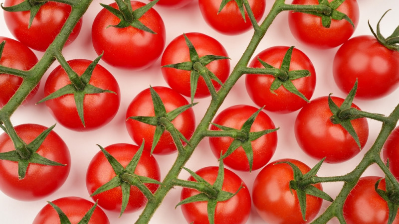 La tomate cerise : bienfaits, calories et utilisation en cuisine