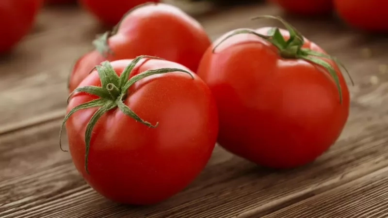 Comment faire dégorger la tomate ?