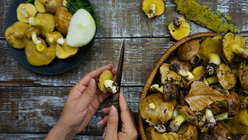 Comment bien nettoyer ses champignons ?