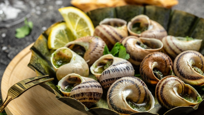 Comment cuisiner les escargots : recettes et techniques