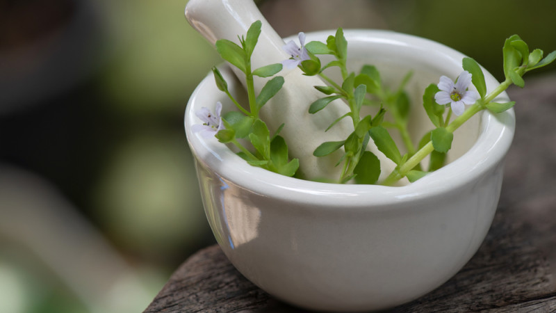 Les bienfaits du Brahmi : une plante pour le corps et l'esprit