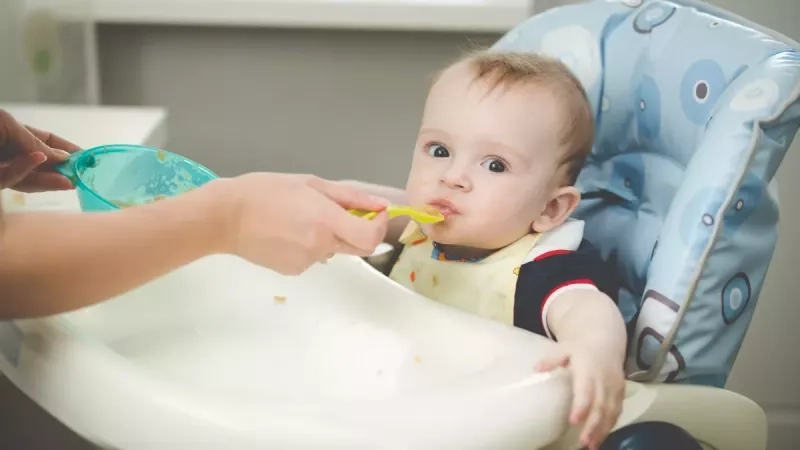 10 recettes saines pour bébé : des repas équilibrés et gourmands dès la diversification alimentaire