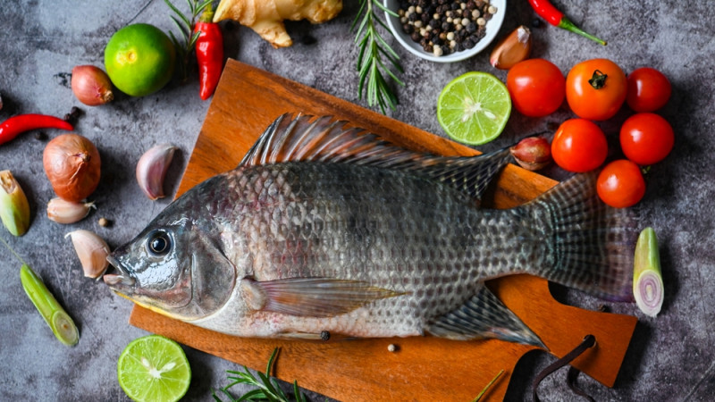 Le tilapia : un poisson nutritif pour une alimentation saine et équilibrée