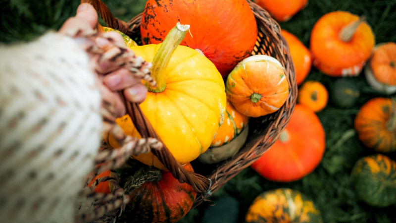 5 bonnes raisons de manger de la citrouille