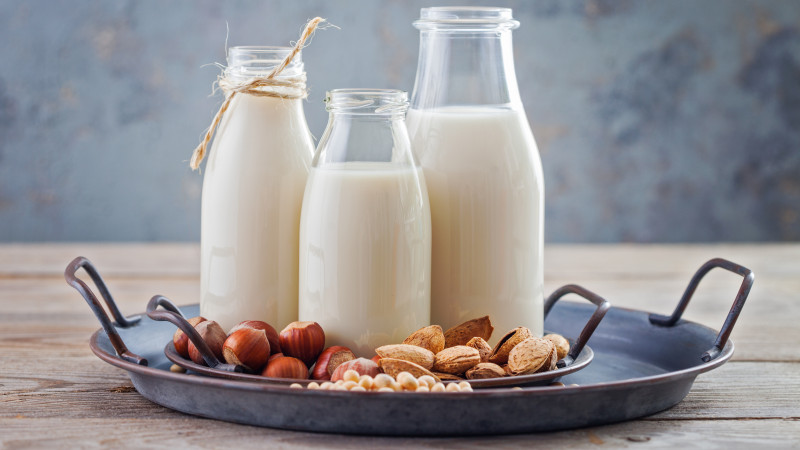 Tout savoir sur le lait végétal