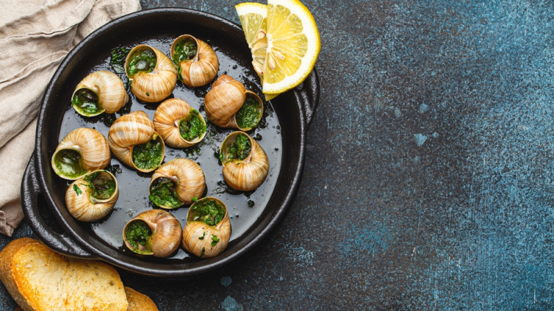 Les escargots : bienfaits, calories et utilisation en cuisine