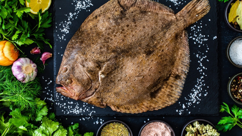 Le turbot : bienfaits, calories et utilisation en cuisine