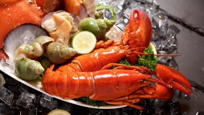 Quels sont les fruits de mer de saison, mois par mois ?