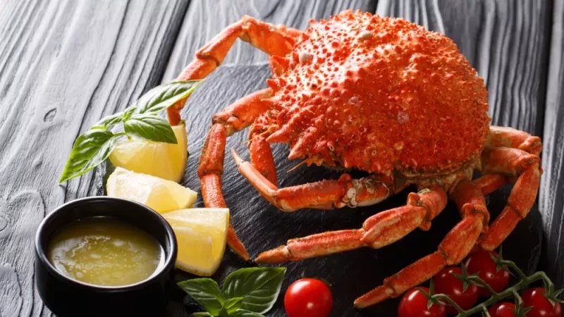 Araignée de mer : bienfaits, calories et utilisation en cuisine