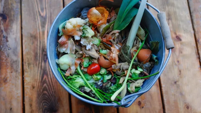 Comment composter ses déchets de cuisine facilement ?