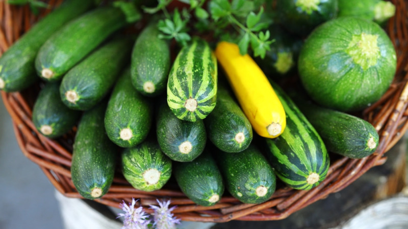 La courgette est-elle calorique ? 