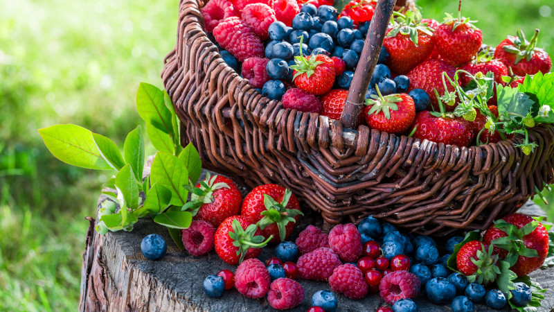 Top 5 des bienfaits des fruits rouges