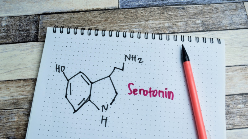 Les bienfaits de la sérotonine, l'hormone du bonheur