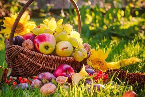 Les fruits de l'automne et leurs bienfaits pour votre santé