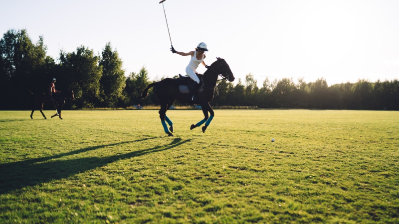 Les bienfaits du polo 