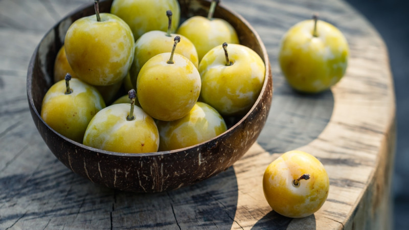 Les bienfaits de la reine-claude : un fruit aux multiples vertus