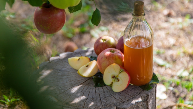 La pomothérapie : un guide complet pour comprendre et intégrer les bienfaits des pommes dans votre quotidien