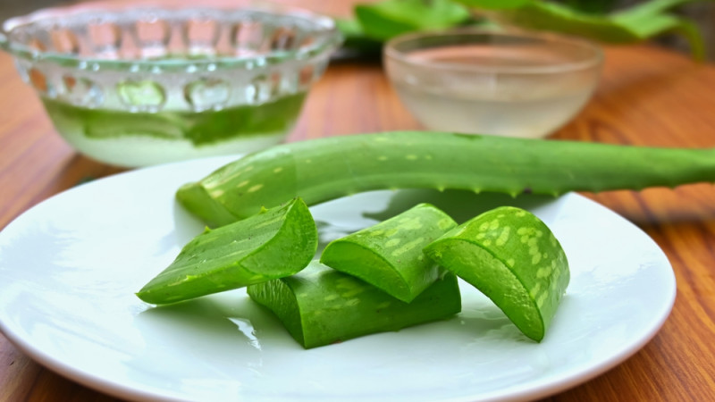 Comment utiliser l'aloe vera pour renforcer le système immunitaire