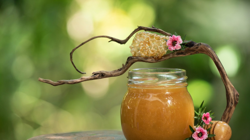 Découvrez les bienfaits exceptionnels du miel de manuka