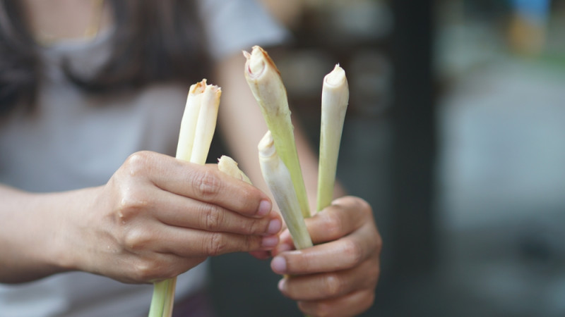 La citronnelle : peut-elle vous aider à maigrir ?