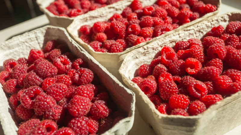 La framboise est-elle calorique ?